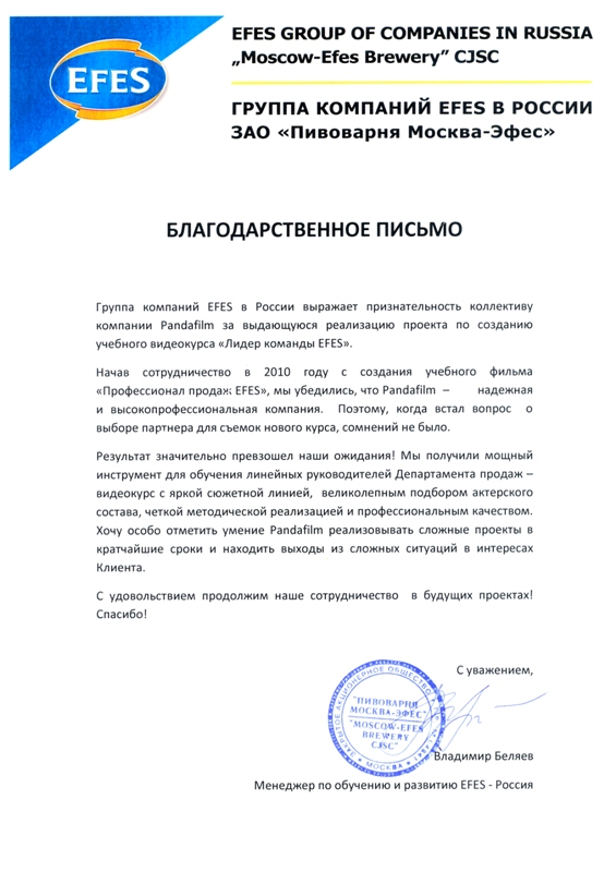 Отзыв компании EFES